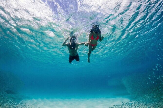 Premium Snorkel Catamaran Cruise in Los Cabos - Blue-flag bay snorkeling: clear water and fewer hassles