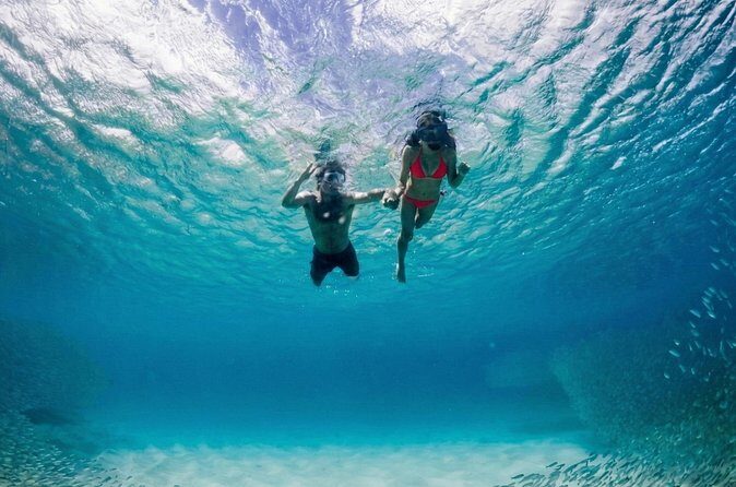 Premium Snorkel Catamaran Cruise in Los Cabos - Whale season in Los Cabos: what to expect, what not to assume