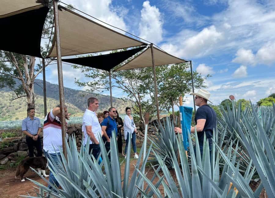 Premium Tequila Route with professional tasting - Key moments you’ll remember