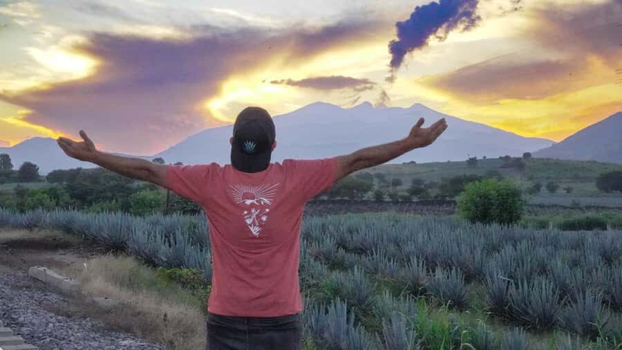 Premium Tequila Route with professional tasting - What you’ll actually learn about 100% agave tequila