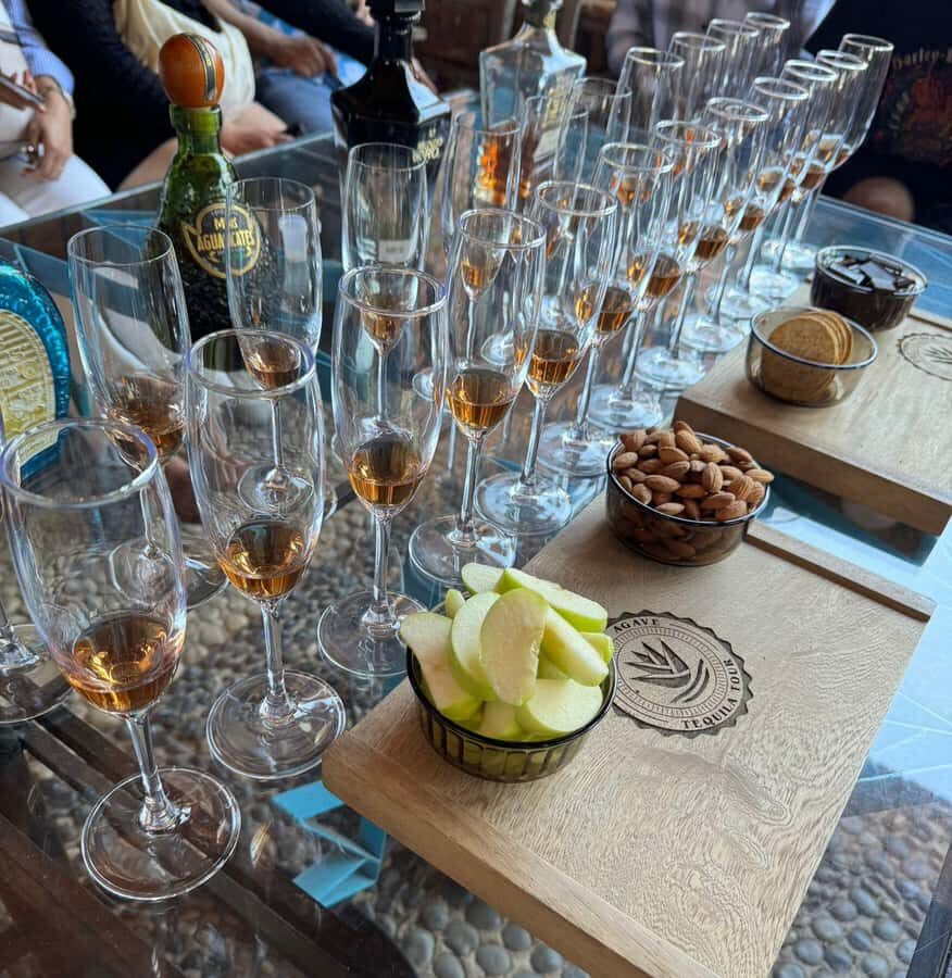 Premium Tequila Route with professional tasting - Price and logistics: does $52 feel fair?
