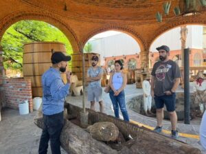 Premium Tequila Tour with a professional tasting - From Guadalajara: meeting point, transport, and the no-driving bonus