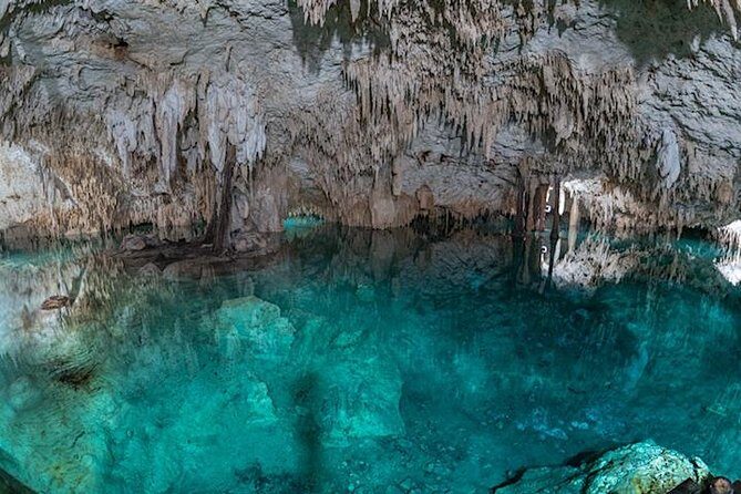 Private 2-Cenote Snorkeling Tour with Authentic Mayan Lunch - Your first stop: Cenote Jaguar or Cenote Nicte Ha (choose your mood)