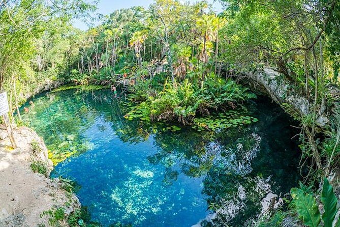 Private 2-Cenote Snorkeling Tour with Authentic Mayan Lunch - Who this tour suits best (and who should skip it)