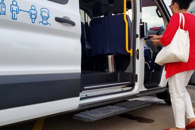 Private Airport-Hotel Transfer - Who you might meet: drivers with real Mazatlán know-how