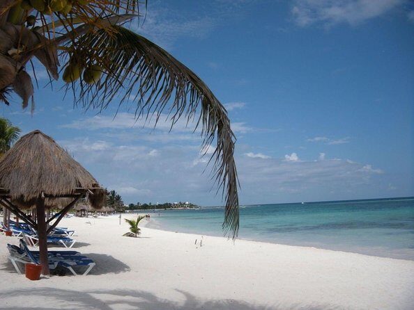 Private Akumal & Cenotes tour - Key highlights to look for