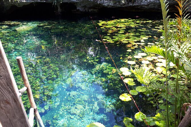 Private Akumal & Cenotes tour - Akumal Beach Snorkeling: How the 2-Hour Window Feels