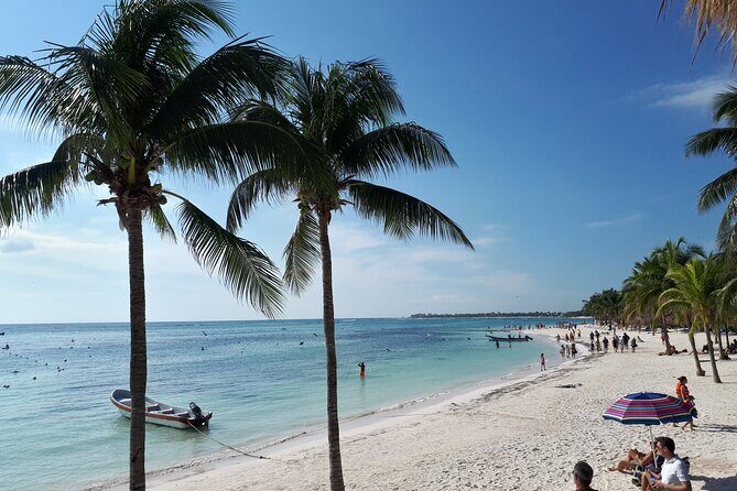 Private Akumal & Cenotes tour - What You’ll Actually Do During the Day