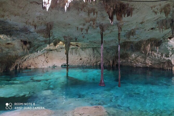 Private Akumal & Cenotes tour - Who This Tour Suits Best