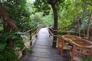 Private ATV tour Puerto Vallarta´s Spring Waters - Safety gear and the guide name you’ll want to remember