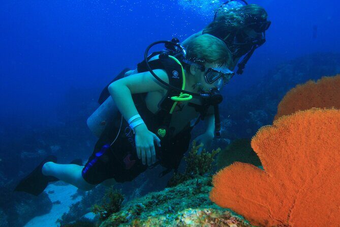 Private Beginner Scuba Diving Experience in Cabo San Lucas - Your underwater plan near El Arco: up to 12m/40ft
