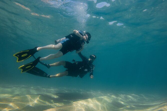 Private Beginner Scuba Diving Experience in Cabo San Lucas - The training moment: skills in shallow water (and why it’s smart)