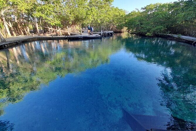 Private boat tour (3 islands tour) - Why a private 3-island boat day works on Holbox