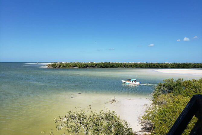 Private boat tour (3 islands tour) - Isla de la Pasión: birds, shallow water, and flamingos in season