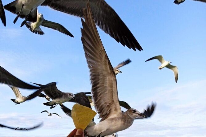 Private boat tour (3 islands tour) - Punta Mosquito sandbanks: the swim stop people remember