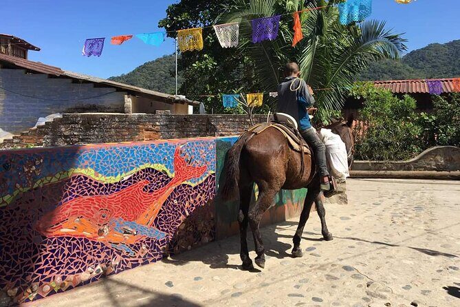 Private Boat Tour to Yelapa - Snorkeling at the reef: what you should plan for