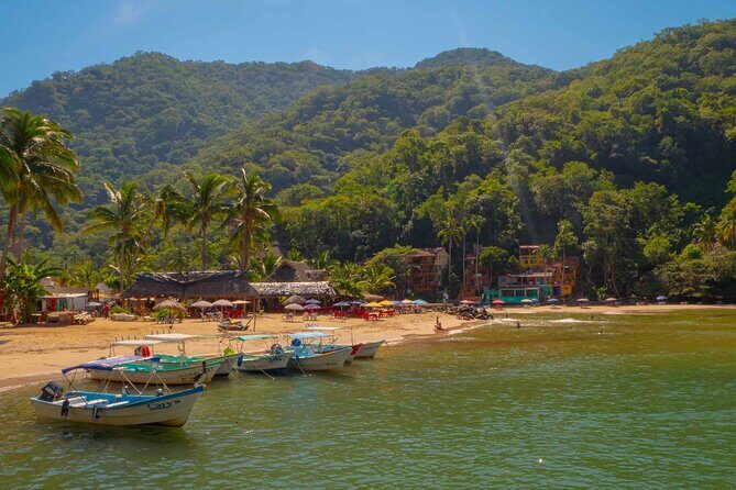 Private Boat Tour to Yelapa with Snorkeling and Waterfall Hike - Stop 1: Playa de los Muertos look-over from the pier area