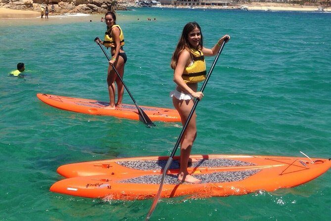 Private Cabo 35ft cat experience Food and open bar included! - Wildlife moments: sea lions, seals, and the crew’s game plan