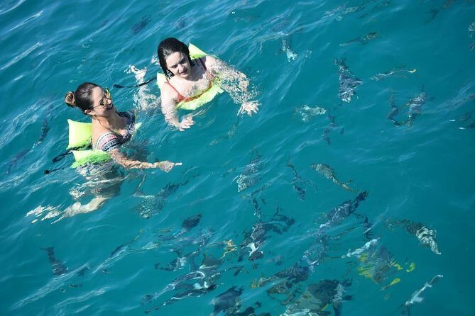 Private Catamaran Snorkeling Cruise in Los Cabos - Wildlife Sightings: When You Get the Good Conditions