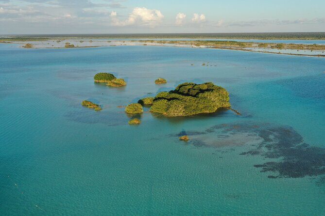 Private Catamaran Tour - Isla de los Pájaros: the calm bird stop before the ride back