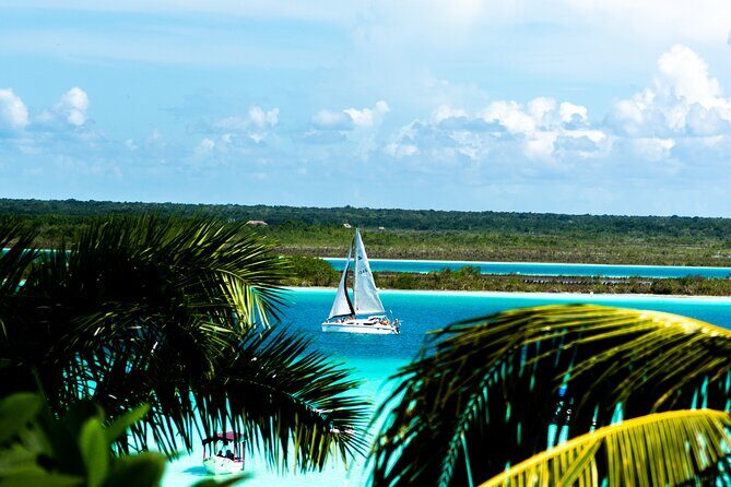 Private Catamaran Tour - What’s included: snacks, beer, fruit drinks, bottled water, and guacamole lunch