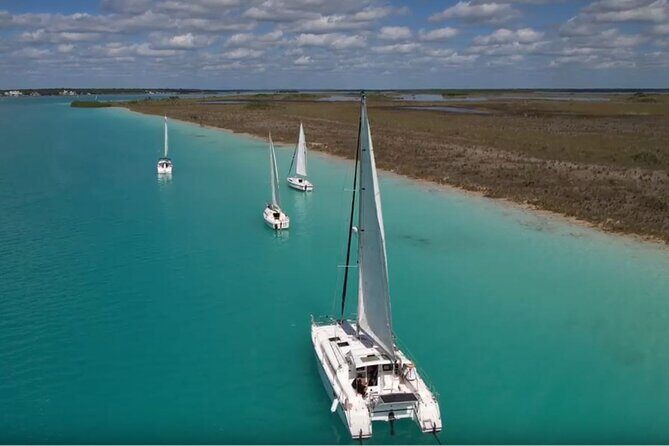 Private Catamaran Tour - Price and value: $990 per group up to 12 people
