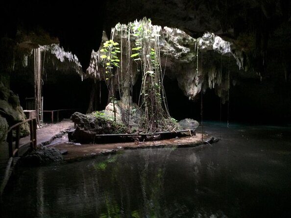 Private Cenote & Cave – Playa del Carmen, Mayan Culture & Fossils - Key details that matter before you go
