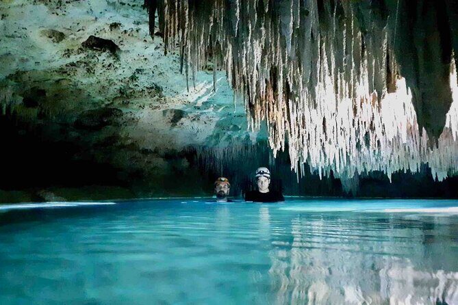 Private Cenote & Cave – Playa del Carmen, Mayan Culture & Fossils - Inside the cenote: fossil stories that actually connect to what you see