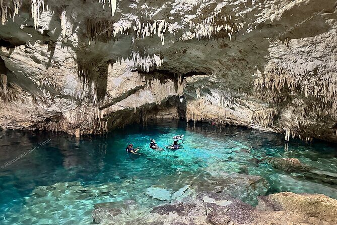 Private Cenote Snorkeling Tour – Tulum’s Hidden Gems - Price and value: what USD 176 per person covers (and why it can feel fair)