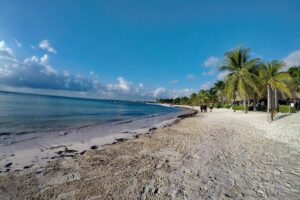 Private Cenote & Snorkeling Tour with Turtles in Akumal - Cenote Taak Bi Ha: the limestone cavern snorkel you’ll remember