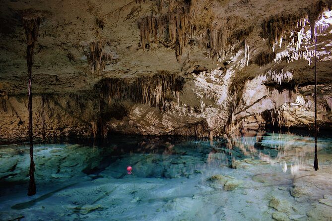 Private Cenote & Snorkeling Tour with Turtles in Akumal - How fit do you need to be, and what safety looks like