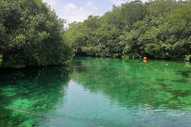 Private Cenotes tour - Private cenotes tour from Playa del Carmen: what you’re really paying for