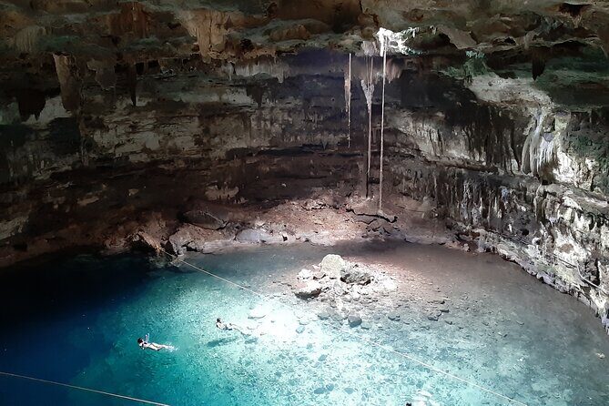 Private Cenotes tour - Casa Cenote: the open-air pool vibe with mangroves and fish