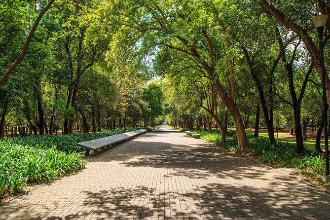 Private Chapultepec Park by Bike Guided Tour - Price and value at $75 for a private 2-hour ride