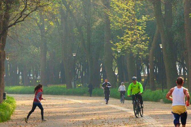 Private Chapultepec Park by Bike Guided Tour - How manageable is the ride?