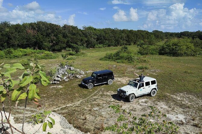 Private Cozumel Cave and Ruin Exploration Tour with Mexican Lunch - Price, Time, and What You Actually Get for $110