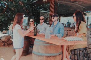 Private Curated Wine Tour in Valle de Guadalupe - Pickup and timing: 10:30 am start, about 8 hours