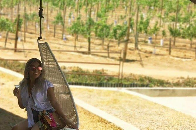Private Curated Wine Tour in Valle de Guadalupe - The private-tour advantage: you can steer the day