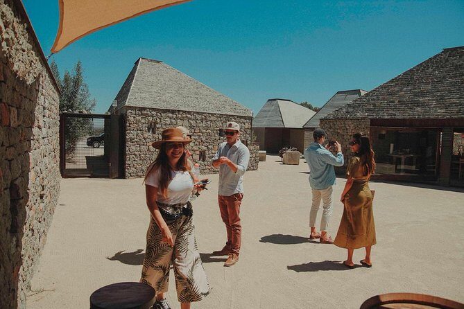 Private Curated Wine Tour in Valle de Guadalupe - Food strategy: lunch is on you, but the day is built around it