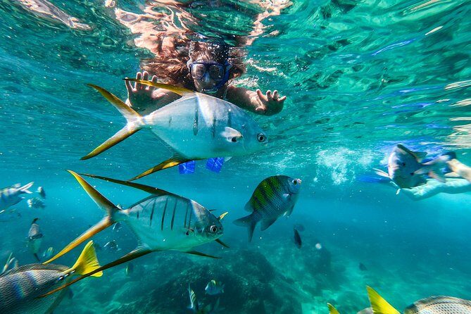 Private Day Trip to San José & Cabo San Lucas - What the Reviews Highlight Most: Guides and the Feeling of Care