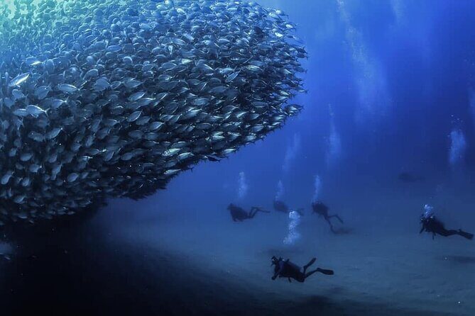 Private Dive Boat for Certified Divers - Cabo San Lucas - Getting on the boat fast at Cabo Private Guide Plaza