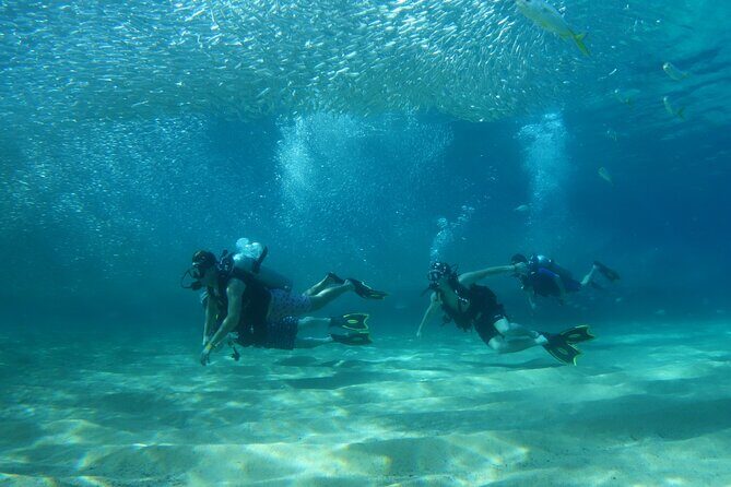 Private Dive Boat for Certified Divers - Cabo San Lucas - The small-group setup that makes site changes easy