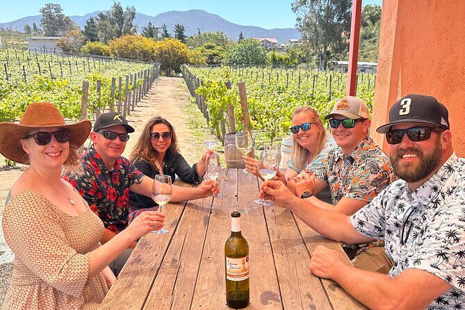Private Ensenada Tacos and Wine Tour - Ensenada tacos and wine in a tight 3–4 hour window