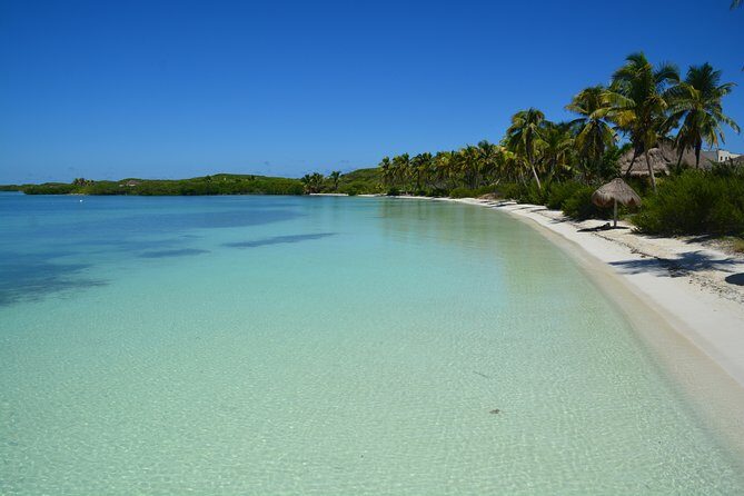 Private Escape: Isla Contoy & Isla Mujeres with Snorkeling - Why the 6:00 AM Start Is a Smart Choice (Not Just a Nuisance)