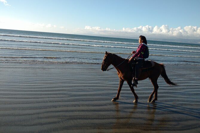 Private excursion to the bufadora and horseback riding on the beach - La Bufadora: a 30-meter jet of nature and the market maze