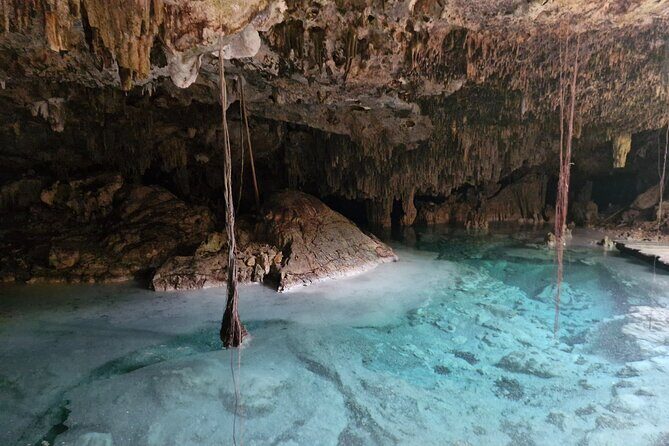 Private experience 5 cenotes at Riviera Maya - Jungle Walk, Showers, and Locker Time Before Swimming