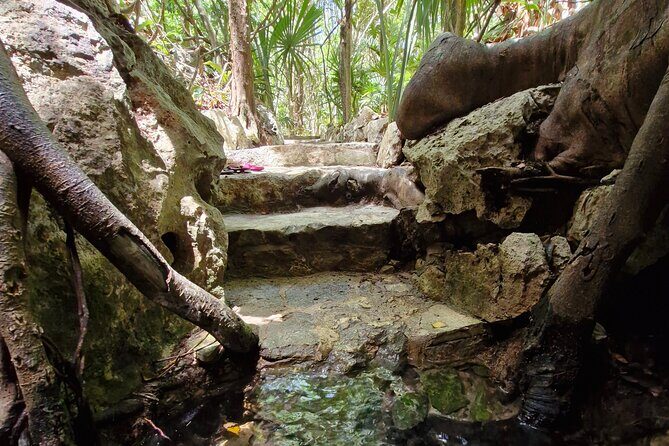 Private experience 5 cenotes at Riviera Maya - What You’ll Do at Each Cenote Stop (Without the Crowd Stress)