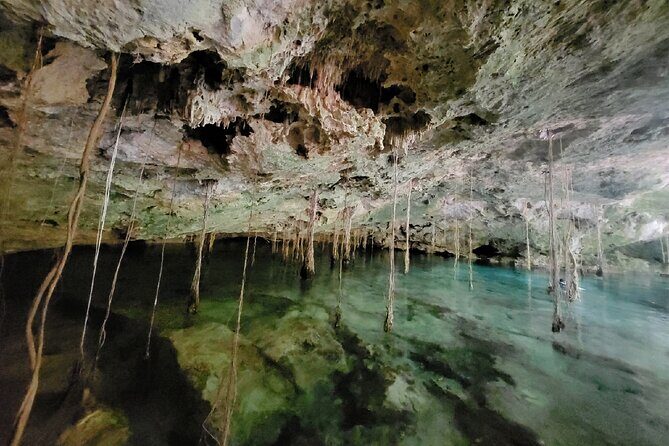 Private experience 5 cenotes at Riviera Maya - Mayan Storytelling on the Ground, Not Just in the Van