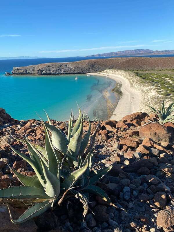 Private experience from Cabo San Lucas to La Paz: (Balandra beach) - The guide factor: Eduardo’s style and why it matters