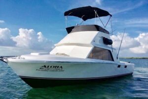Private fishing charter Bertram 31ft 6 pax max if you don't fish you don't pay - Getting To Cancun Sunset Marina and Boarding Smoothly